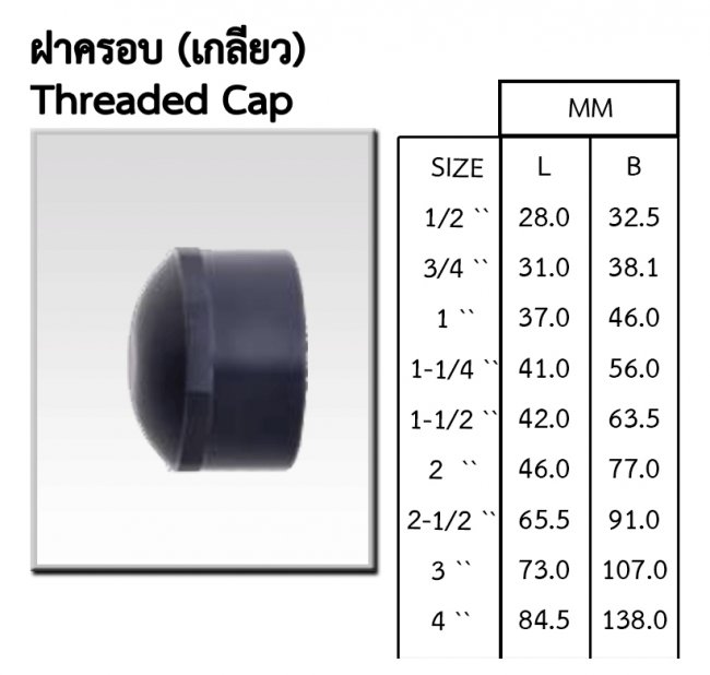 ฝาปิด CPVCเกลียวใน รหัสสินค้า CPVC008