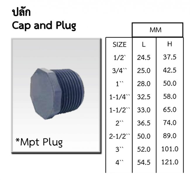 Plug ปลั๊กอุดเกลียวนอก CPVC รหัสสินค้า CPVC009